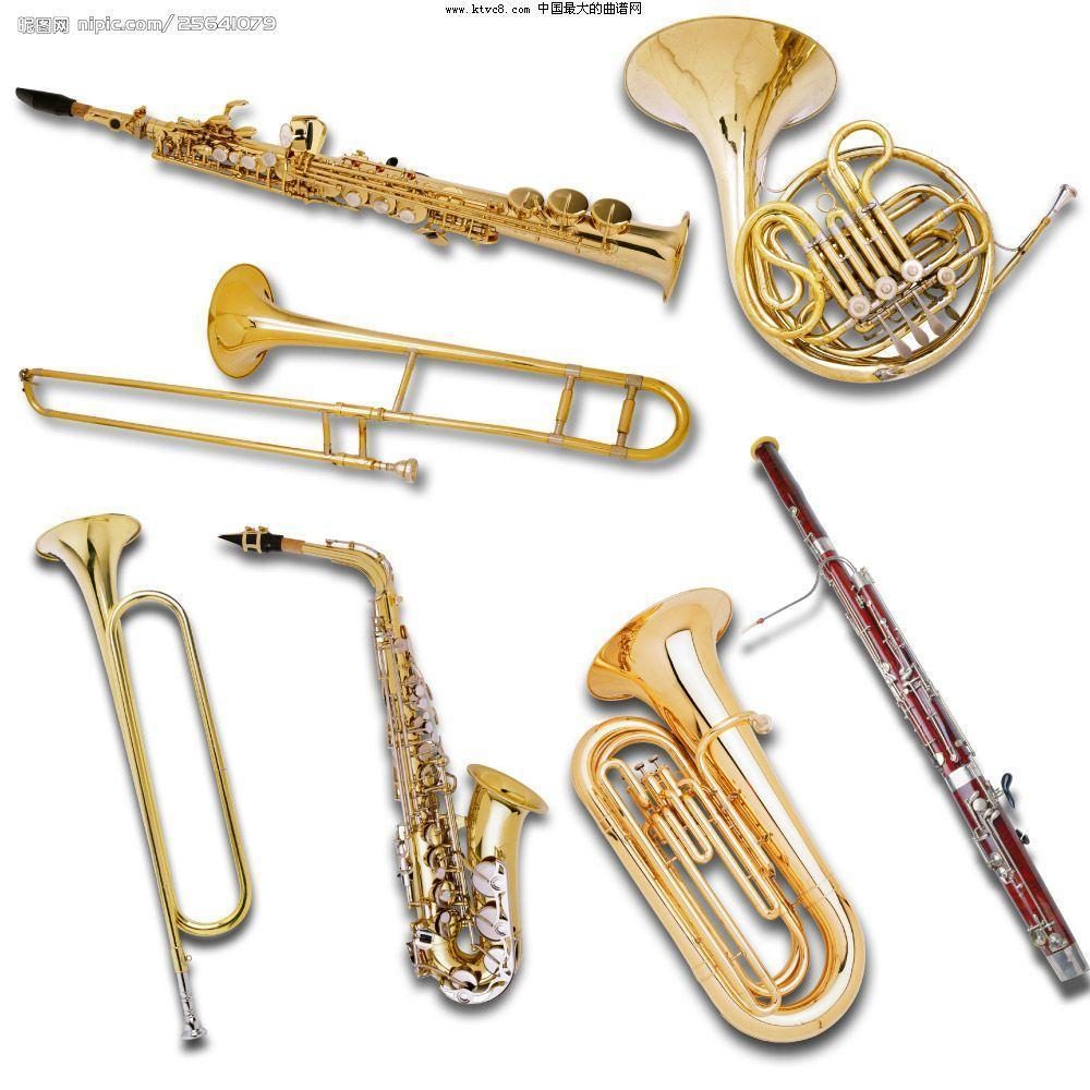 铜管乐器有哪些种类图片